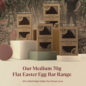 
                  
                    70g Flat Easter Egg Bars Twin Pack
                  
                